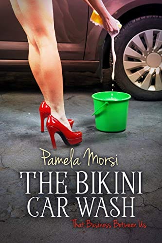 Bikini Carwash (That Business Between Us Book 6)